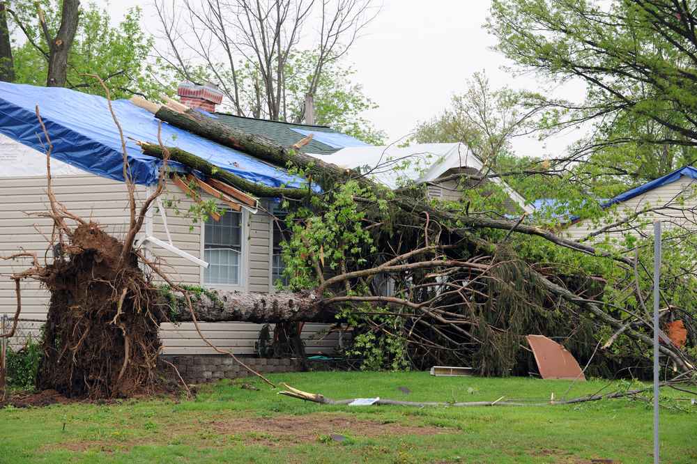 storm damage repair