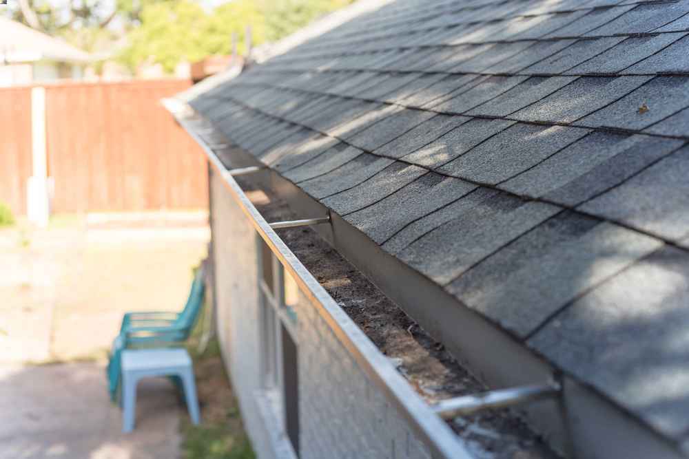 Gutter Cleaning and Inspection Expert