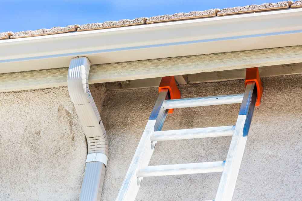 Gutter Inspection and Cleaning Expert