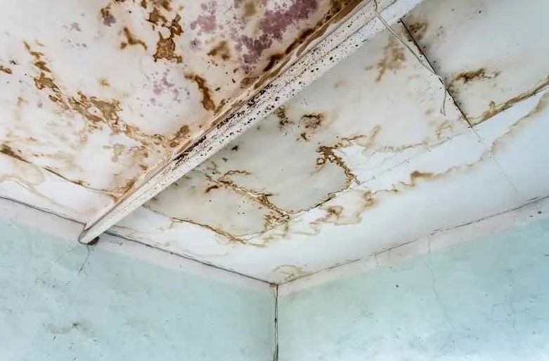 small roof leak consequences